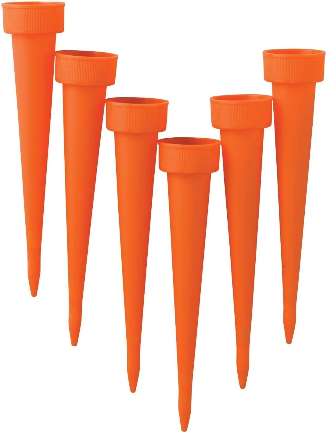 6" Plant Watering Spikes (Pack of 6)