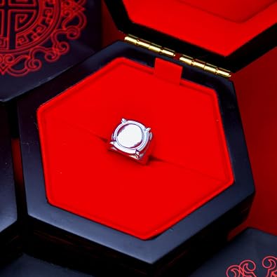 ZAG STORE - Miraculous Ladybug - Adrien's Ring
