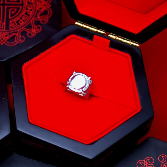 ZAG STORE - Miraculous Ladybug - Adrien's Ring