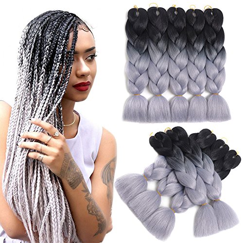5 Pieces Dalin Ombre Synthetic Braiding Hair Extensions Kanekalon Hair Braiding Hair Crochet Braids Synthetic Hair Extensions 100G/Pc 24 Inch (Black/Silver Gray)