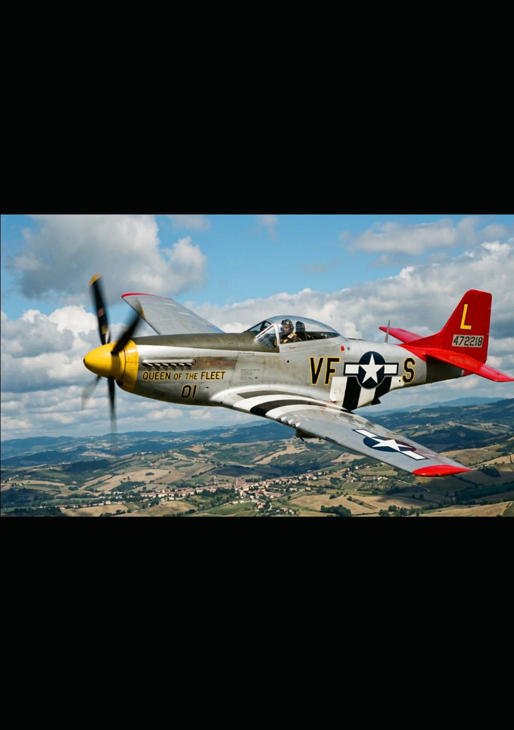 Red Tail Rising: The Untold Story of the Tuskegee Airmen's Courage and Legacy