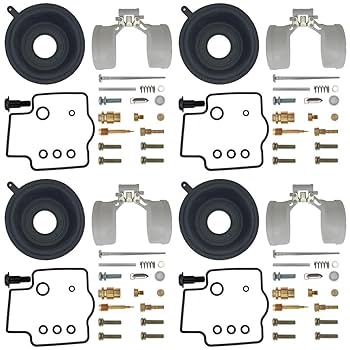 Amazon.com: 4-Pack Carburetor Carb Rebuild Repair Kits with