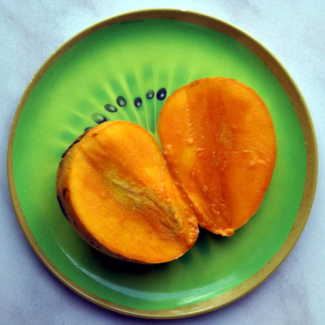 M-Tech Gardens Mango Fruit Plant (Fairchild, Grafted Hybrid) Exotic 1 Live Fruit Plant