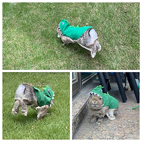 Disfraz Dinosaurio Ajustable para Pequeños Animales miniatura 6