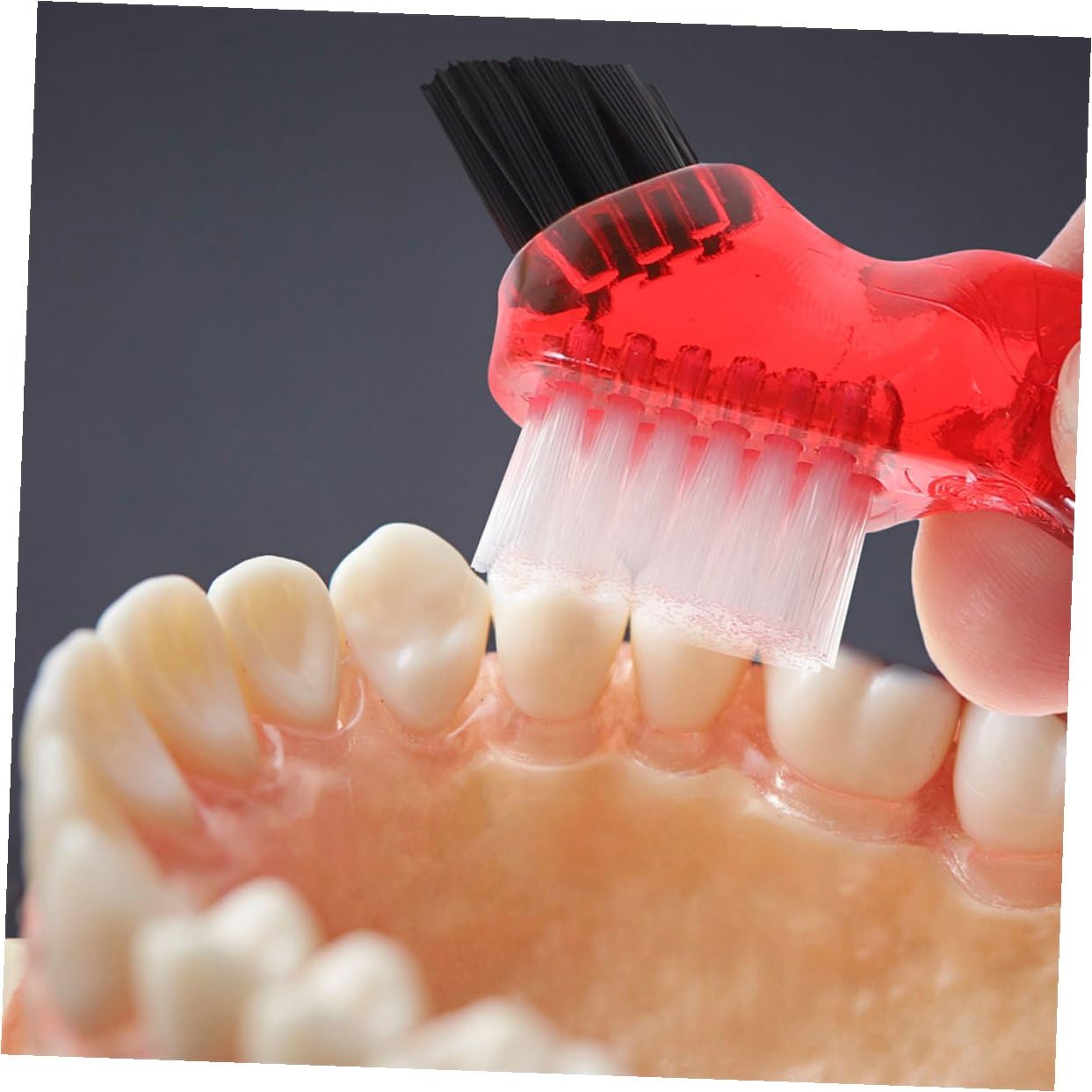 NOLITOY Set 3 Spazzolini per Dentiera Mini Portatili Spazzolino per Dentiera per Adulti Multifunzionale Setole Fini Pulizia Personale Pratica per Igiene Orale Quotidiana