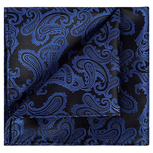 Image of KissTies Mens Paisley Tie And Pocket Square Necktie Sets