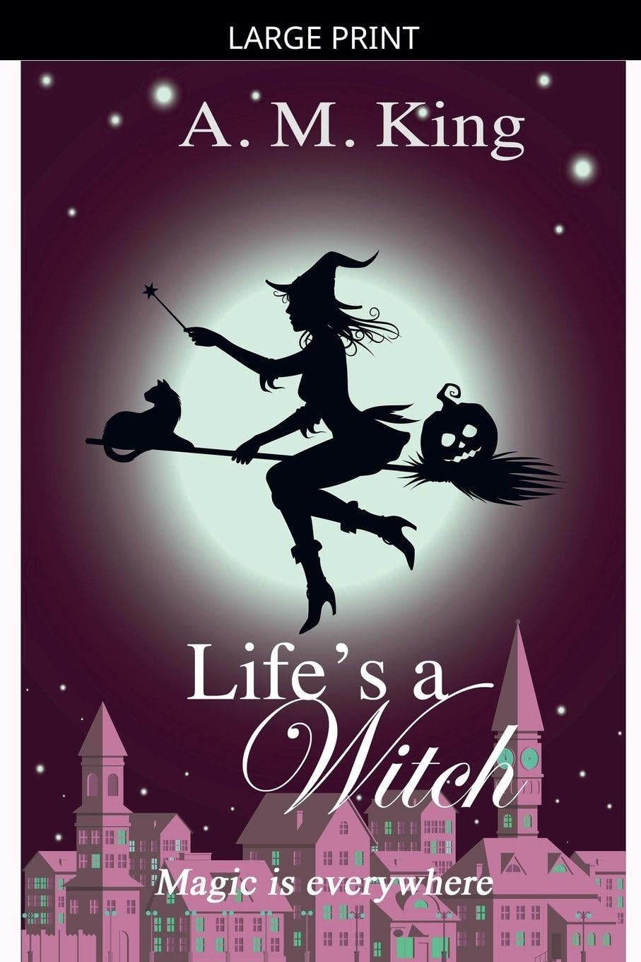 Life's A Witch: 2 (The Summer Sisters Witch Cozy Mystery)