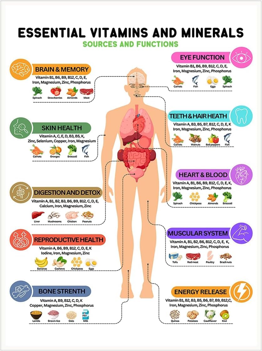 Pivjhf Educational Posters Vitamins And Mineral Chart Sheet – Nutrition Facts Food List, Essential Micronutrients Chart, Healthy Protein Poster, Fitness Meal Tracker Metal Tin Sign 8X12 Inch