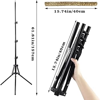 【フィンチ用】梅と桜のフィンチTree バードスタンド しんとみdeビアガーデン🍺 8月22日金曜日17-21時 @新富町