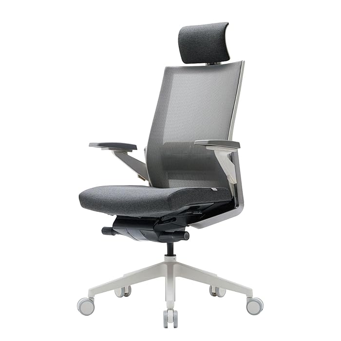 Buy SIDIZ T80 Ergonomic Home Office Chair German Mechanism for