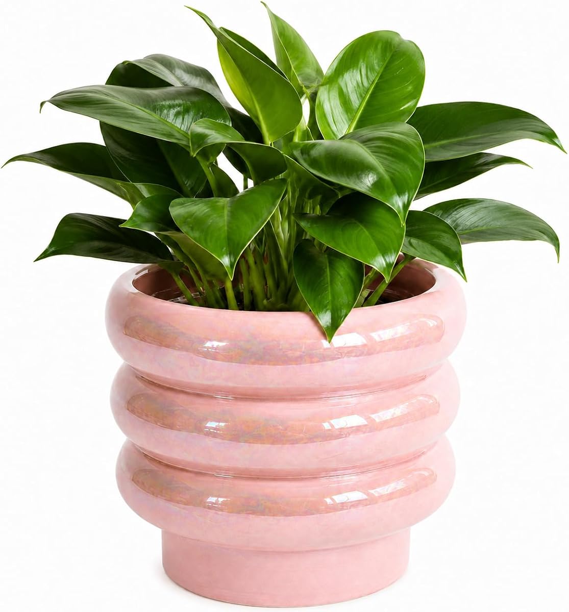 6 Inch Ceramic Plant Pots for Indoor Plants, Planter with Drainage | Ceramic Pot with Removable Rubber Stoppers, Plant Pot for Flowers, Succulents, Herbs, Cactus and Houseplants