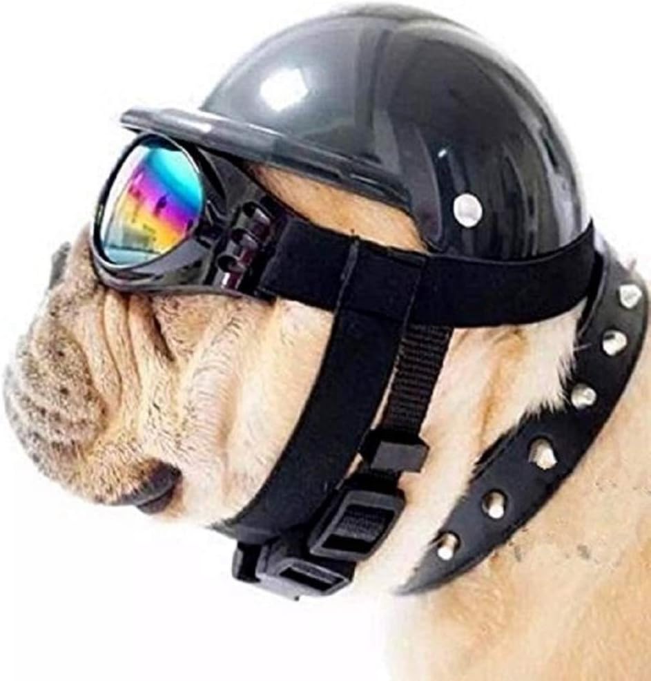 Dog Hat with Goggles, Riding Bike Doggie Cap (Small, Black)