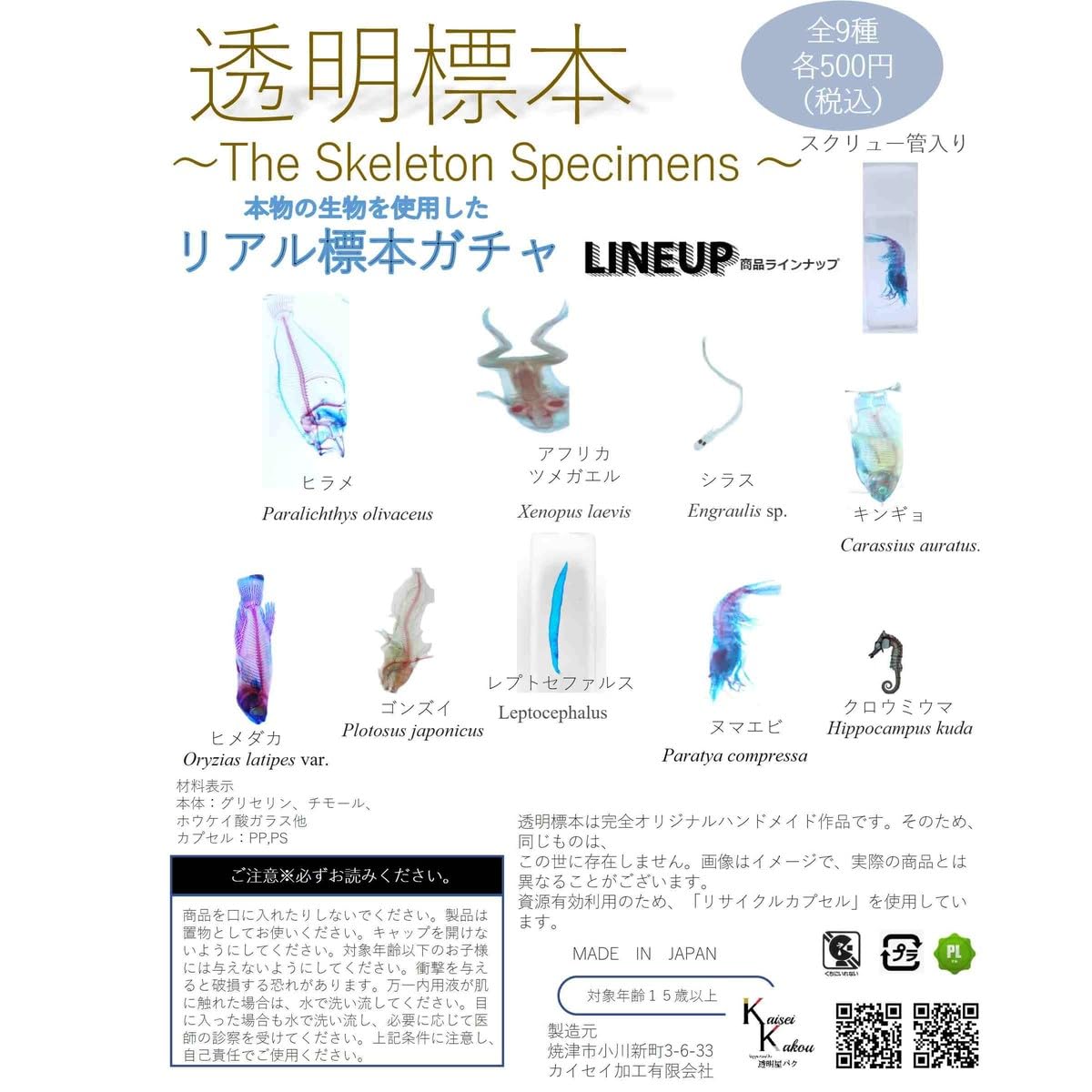 Amazon.co.jp: 「ガチャガチャ 透明標本 カプセルインの状態でお届け