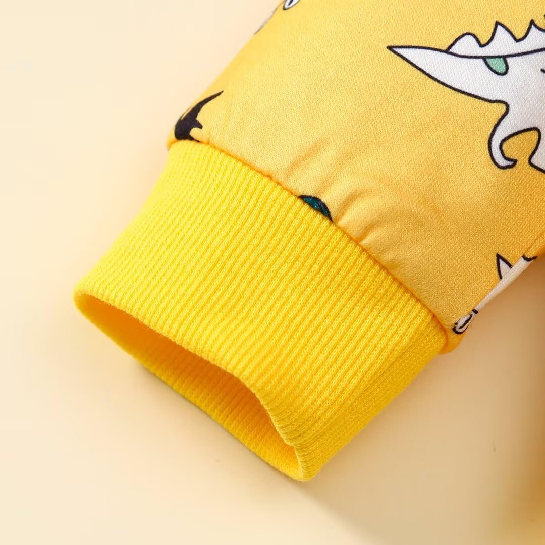 Toddler Baby Boy Outfits Fall Winter Clothes Long Sleeve Dinosaur Sweatshirts Pants Sets 6 Months-4T