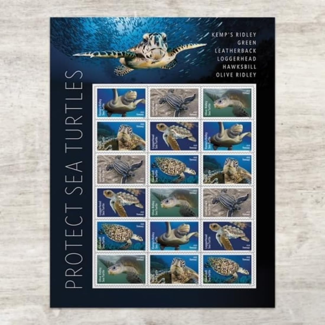Protect Sea Turtles 2024 (Sheet of 18) Commemorative First-Class Mail Forever Postage Stamps