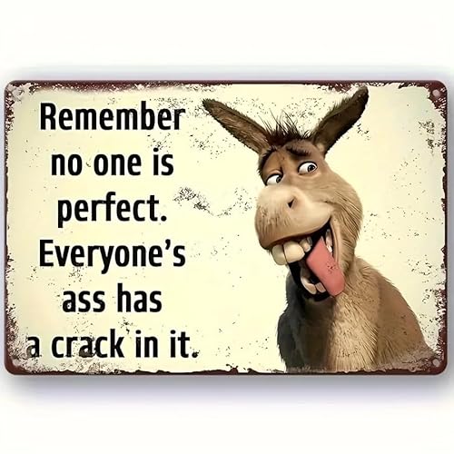 ZiCooL Metal Retro No One is Perfect Wall Art, Creativity