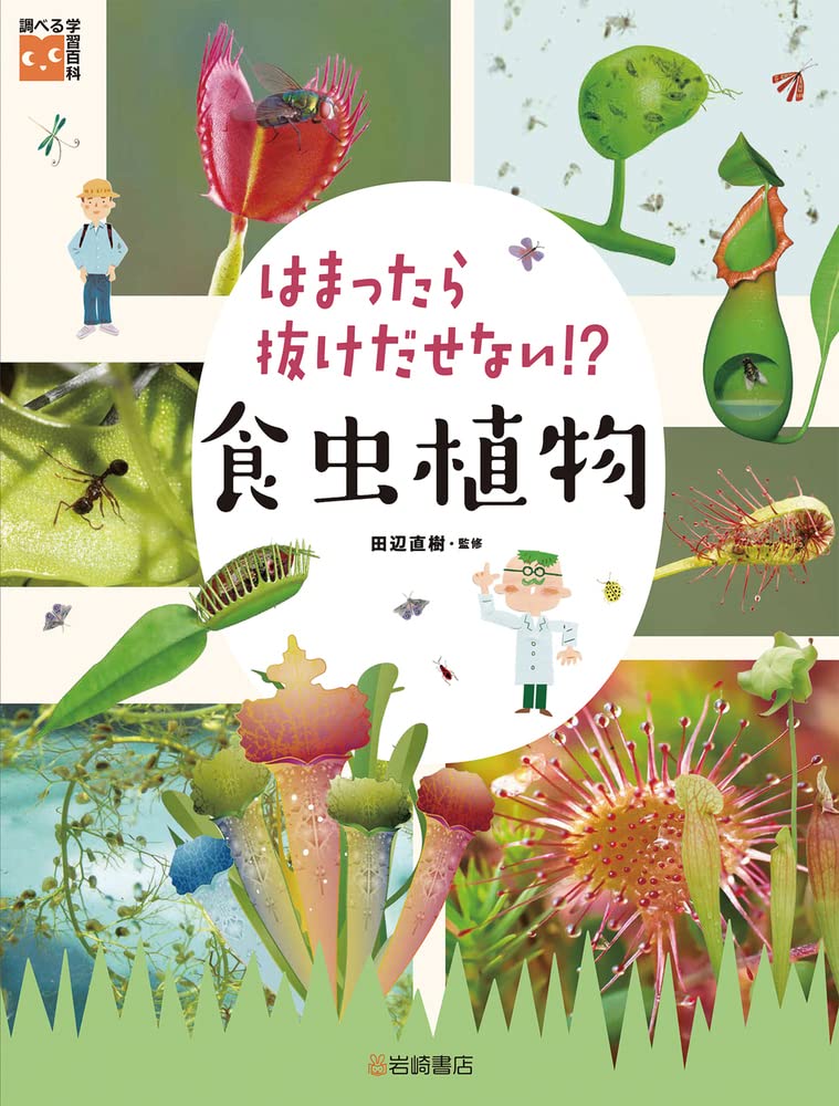 調べる学習百科 はまったら抜けだせない!? 食虫植物 | 石倉