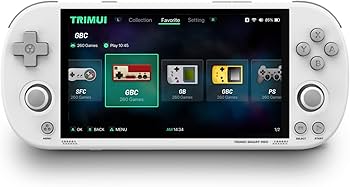 Amazon.com: TRIMUI Smart PRO Retro Handheld Game Console 256G Game