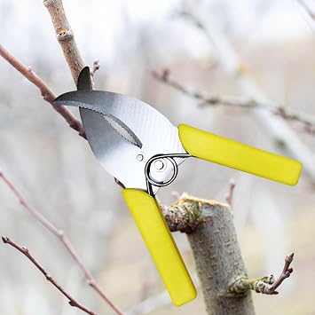 Ring Barking Cutter Scissor,Fruit Tree Ring Cutter Girdling Tool Garden Tree Pruning Scissor Peeling Shears for Potted Plant
