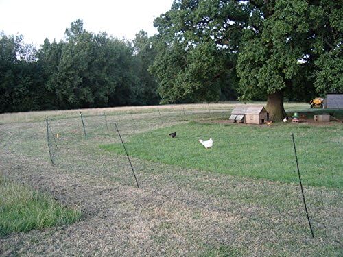 Hotline Electric Fencing Standard Poultry Net - 25m x 1.1m