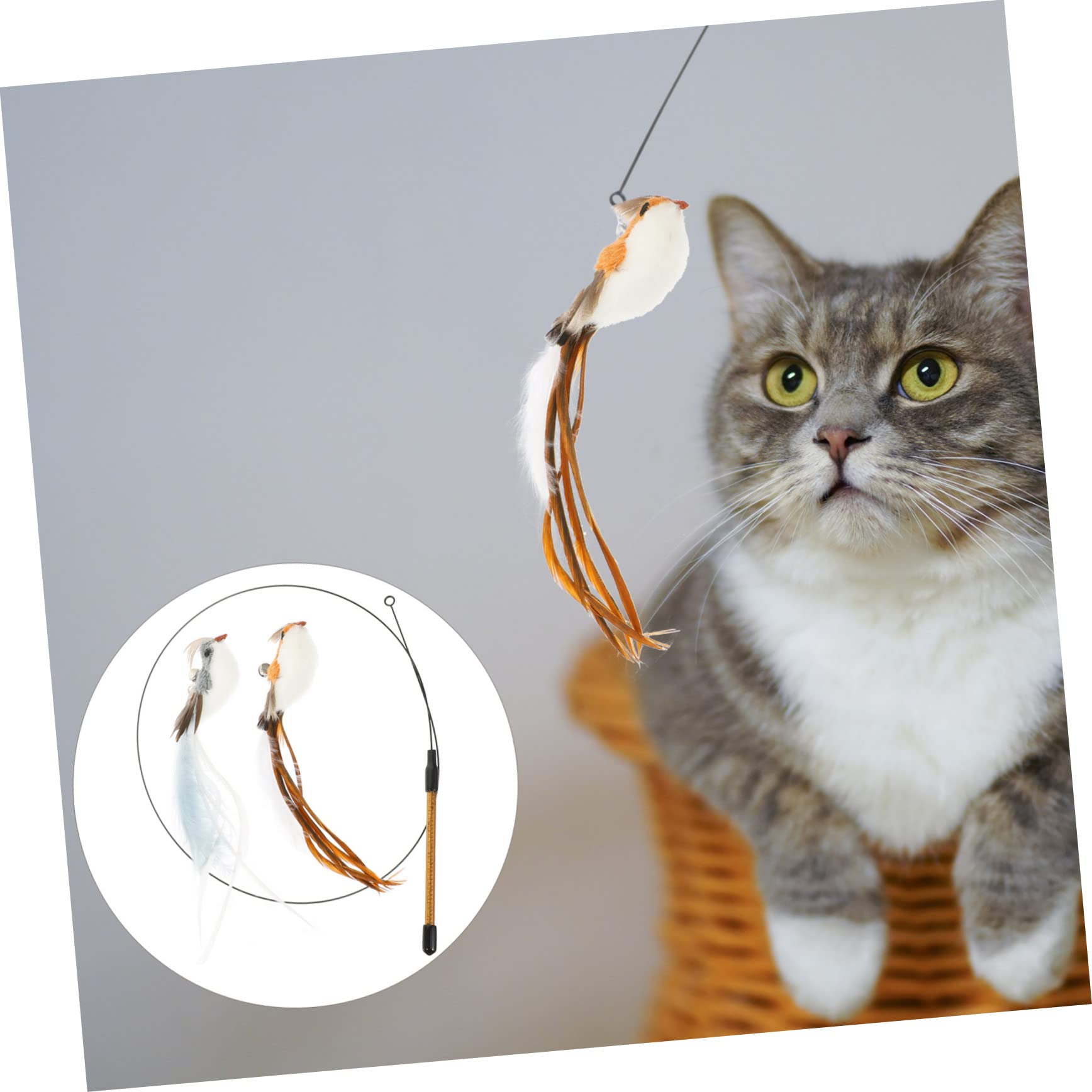POPETPOP 4sätze Katzenangel Mit Feder-ersatzköpfen Interaktives Katzenspielzeug Für Drinnen Geeignet Für Aktive Katzen Teiliges Federn Stahlstab Fördert Spiel Und Jagdinstinkt