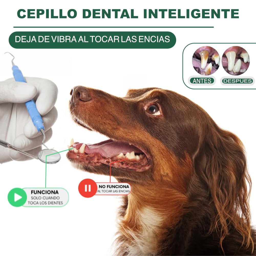 Kit Limpieza Bucal Perros y Gatos con 5 Modos de Uso - Cepillo Dental Ultrasónico Plaque Off + Limpiador Quita Sarro + Accesorios - Cuidado Dental Mascotas - Color Blanco | 3-Stars