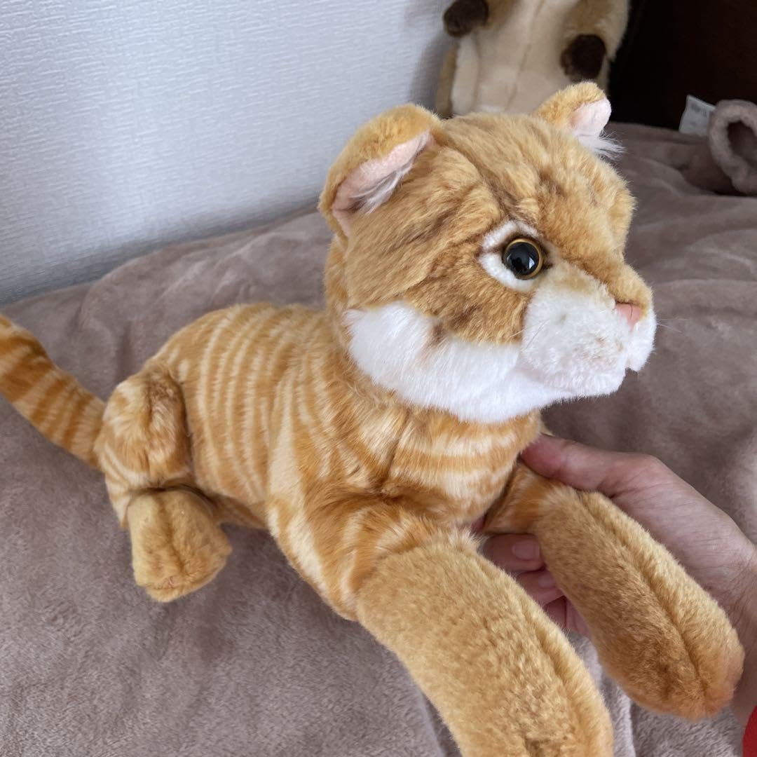 Amazon.co.jp: 本物の猫ちゃんみたいなぬいぐるみ 茶トラ ねこ 人形