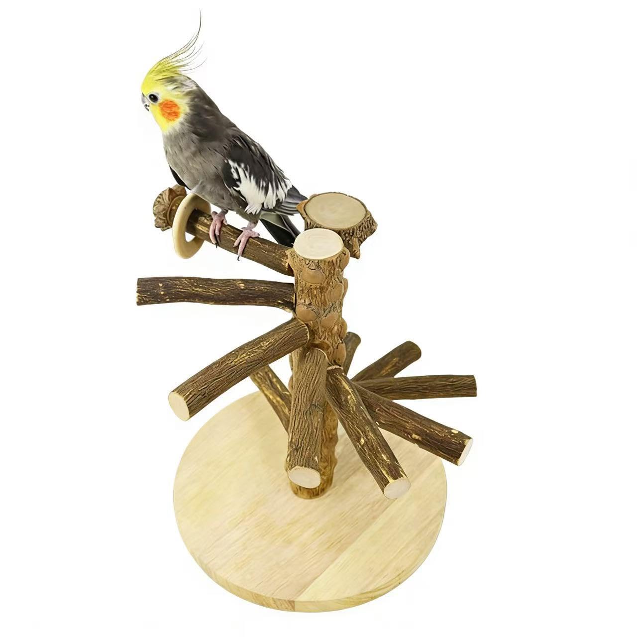 Portable Bird Perch Stand, Natural Wood Tabletop Training Gym Parrot Playground Toy for Budgies, Cockatiels, Lovebirds,Conures Canaries