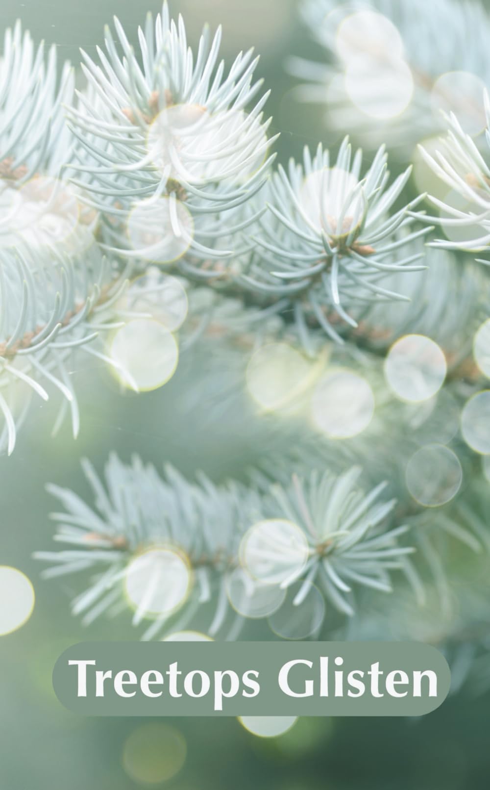 Treetops Glisten: A Curated Christmas Anthology