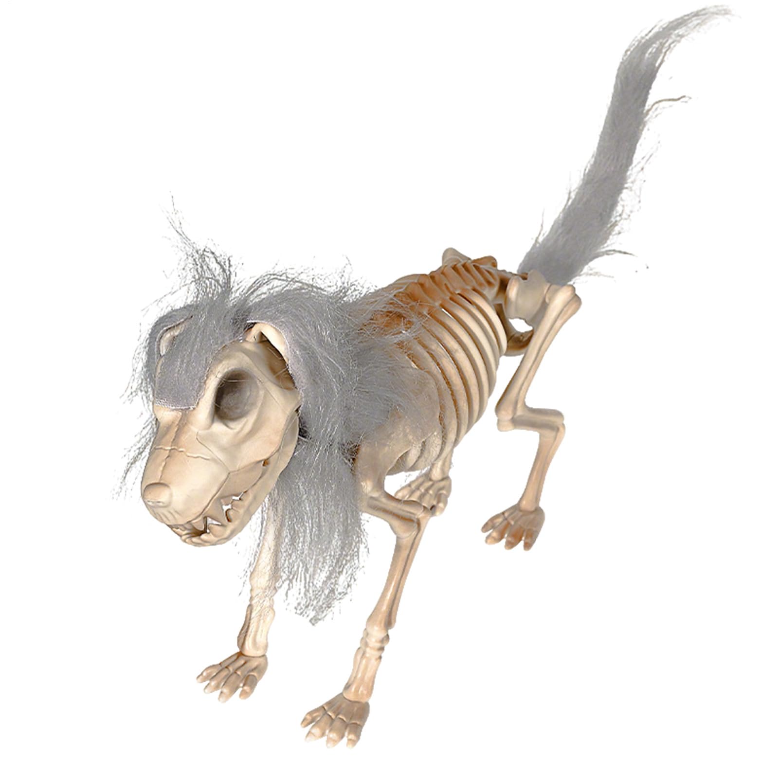 Squelette chien Halloween articulé pour sublimer votre décoration de pelouse et table festive