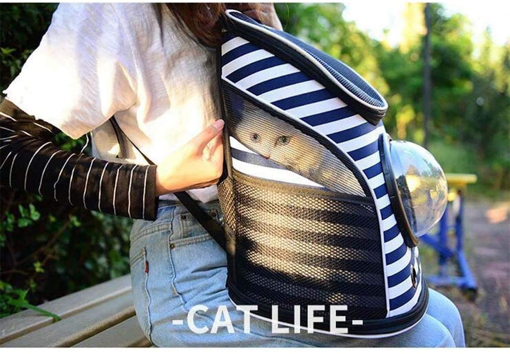 Cat-Rucksack-Träger, Haustier-Rucksack-Fluggesellschaft-genehmigtes Lüfter transparenter Raumkapselrucksack für Welpen, Reisen, Camping und Wandern