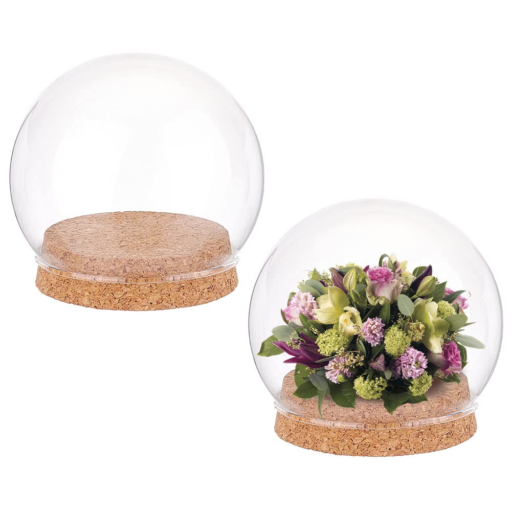 NBEADS 2 Sets Round Glass Display Dome, Mini Glass Cloche Dome Clear Glass Plant Terrarium Decor with Cork Base 3.94
