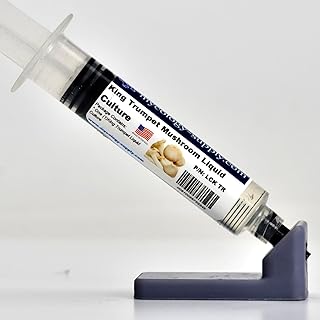 Mycology-Supply.com | Mushroom Liquid Culture (King Trumpet) | 10ml sterile Culture Syringe containing Live Mushroom Culture for Starting Mushroom Spawn.
