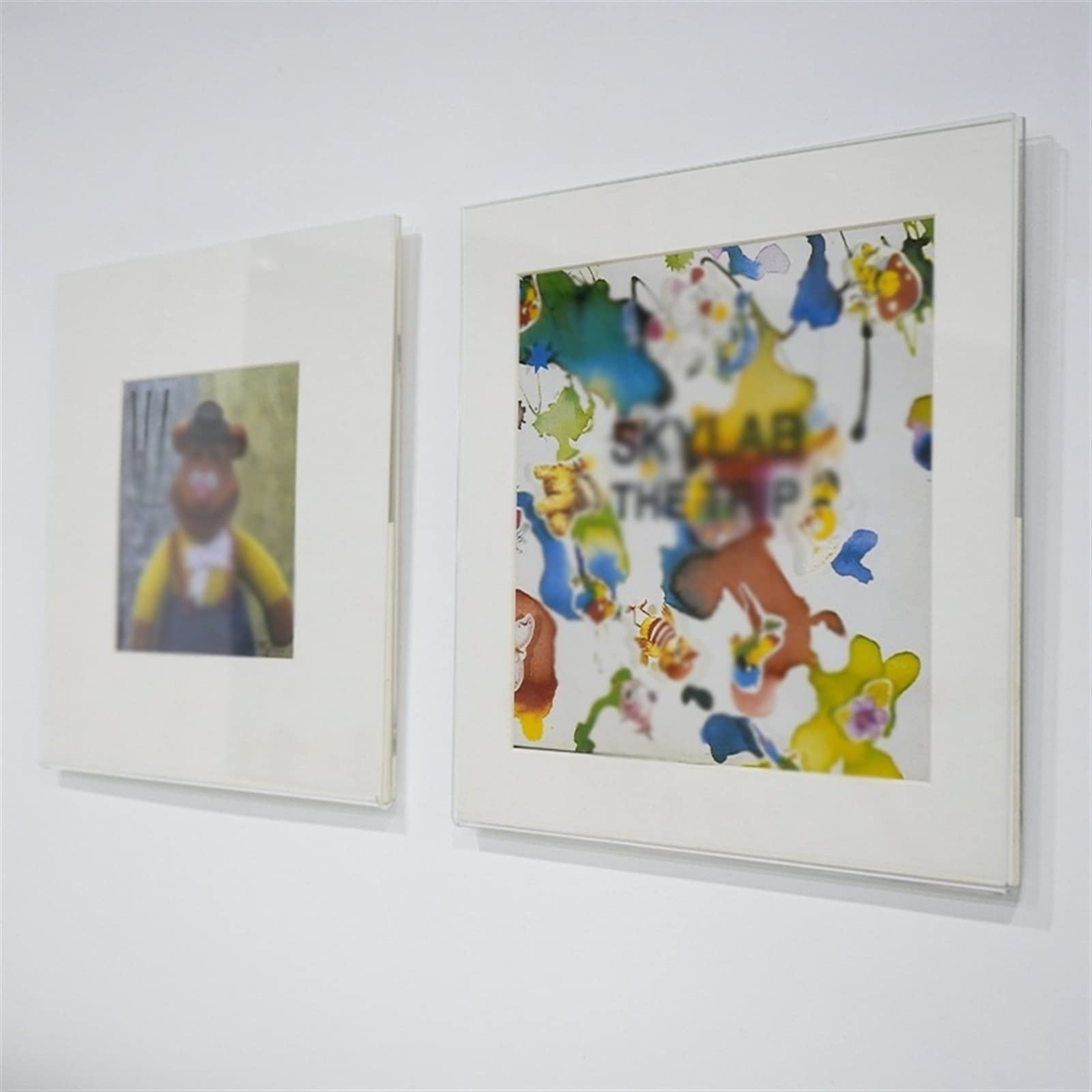 Porta Dischi in Vinile per la casa, scaffale da Parete in Acrilico Trasparente per Foto e Poster, Decorazione per casa e Ufficio, Contenitore per LP