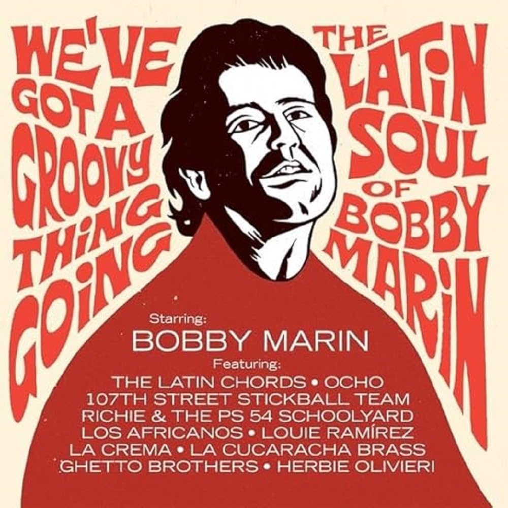 We've Got A Groovy Thing Going: The Latin Soul Of Bobby Marin [VINYL]