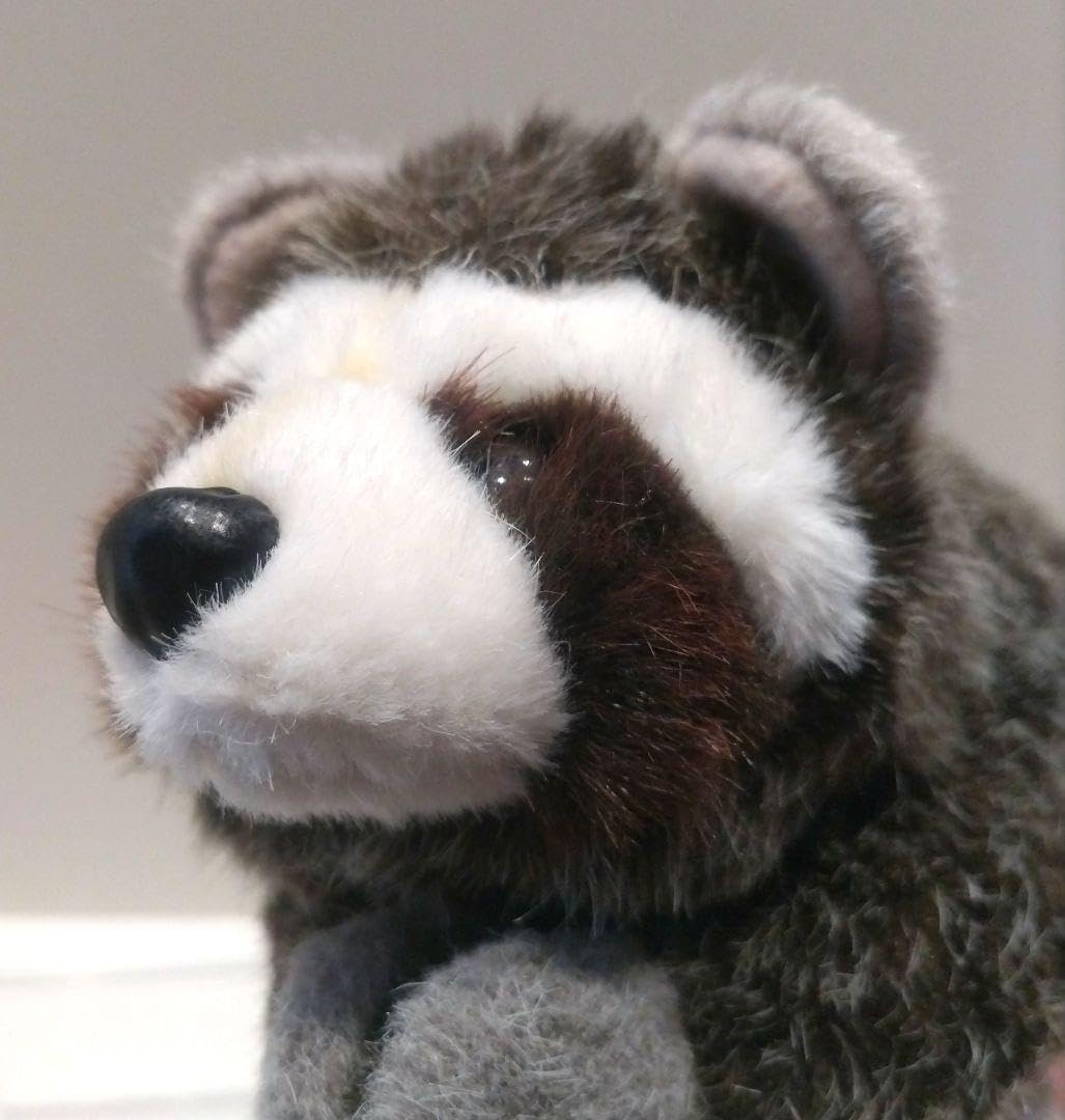 ナカジマコーポレーションアライグマビッグぬいぐるみ Amazon.co.jp: ナカジマ ウーファーズ あらいぐま(L)特大