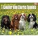 Cavalier King Charles Spaniels, For the Love of 2016 Deluxe