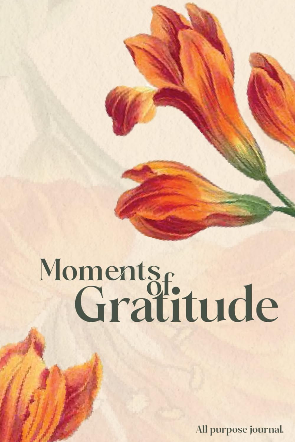 Moments of Gratitude