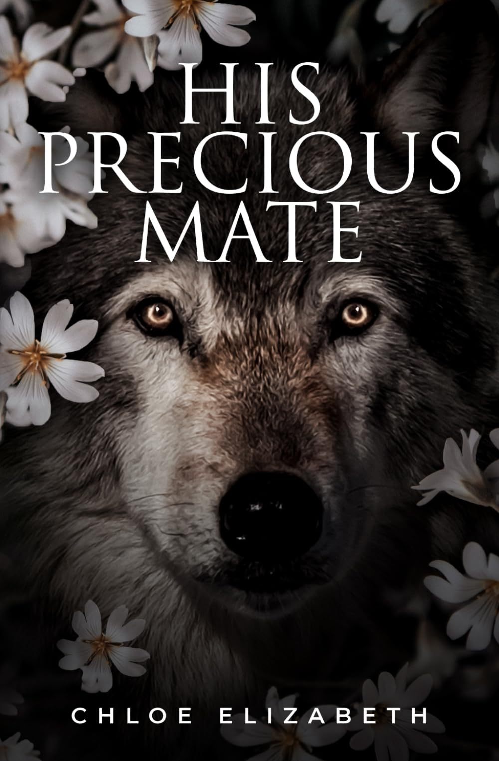 His Precious Mate (Nightwatch Pack)