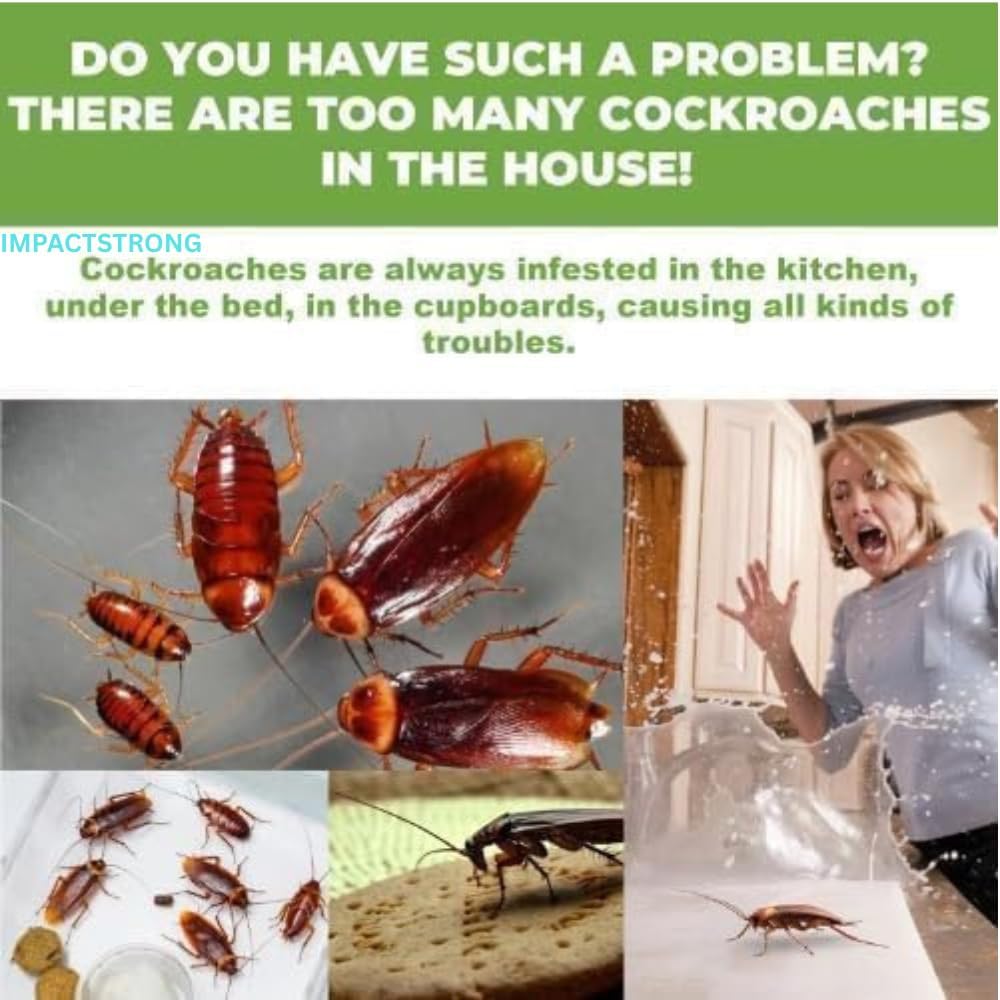 12 pcs Natural Cockroaches Killer for Kitchens Bathrooms Cabinets cockroachs Killer Gel Roach Repellent for Cockroaches for Indoor Cockroach Control Insect Control (12) - Image 4 thumbnail