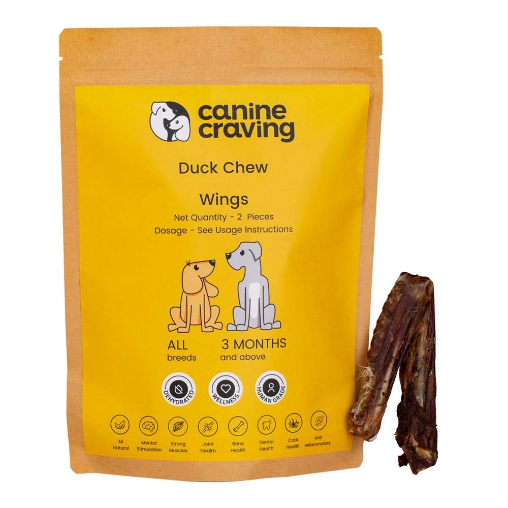 Canine Craving Duck Chew - Whole Wings Dog Chew Treat - 2 Pieces