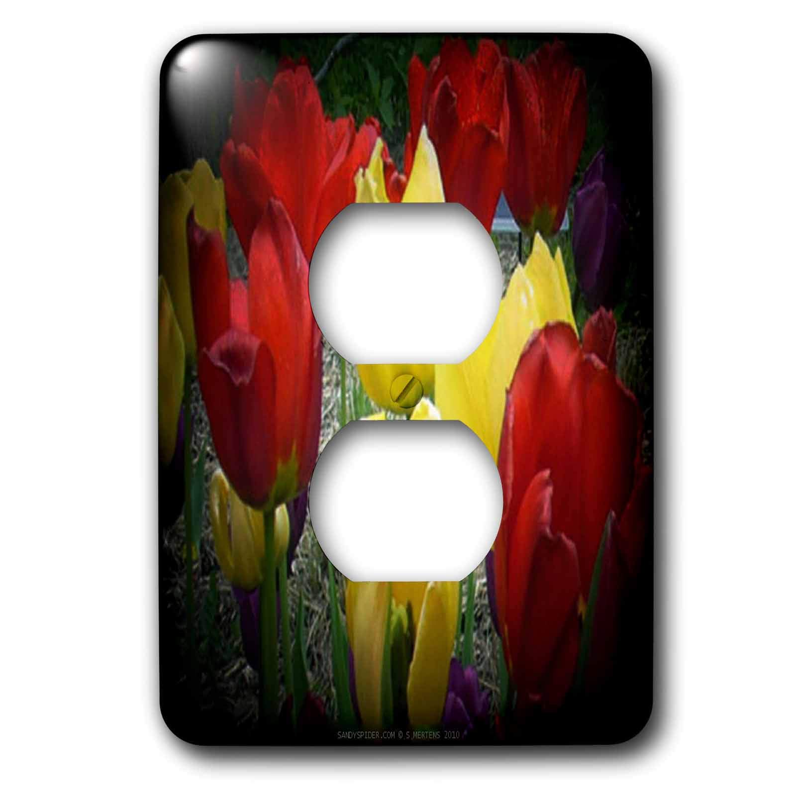 Couvercle de prise 2 prises pour remplacer une plaque abimee avec le style 3dRose