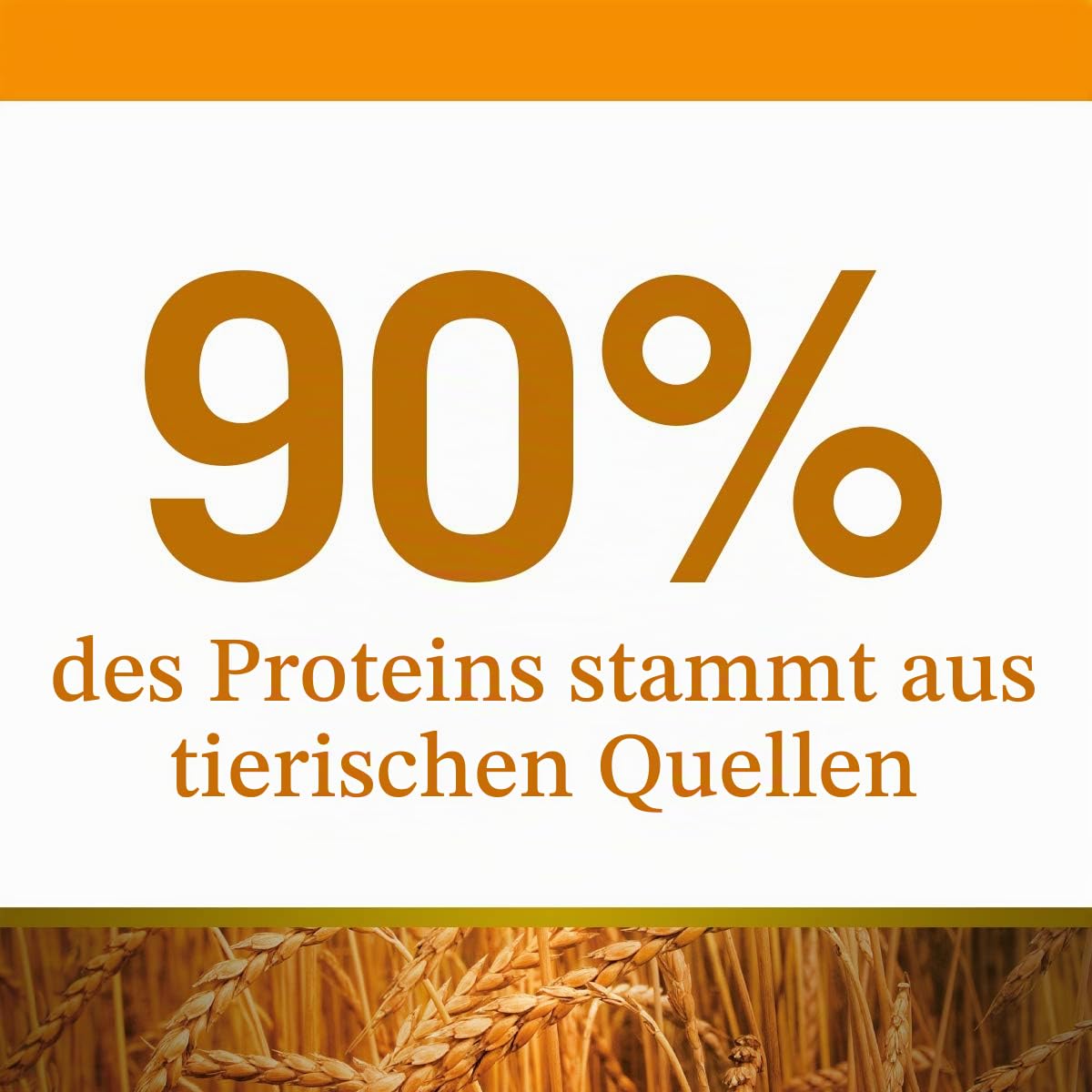 Farmina N&D ANCESTRAL Grain Pellets Hundefutter (Trockenfutter, mit hochwertigen Vitaminen und natürliche Antioxidantien, ohne Mais, Zutaten: Huhn, Dinkel, Hafer und Granatapfel, Portionsgröße: 7 kg)