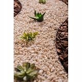 GARDENIX LineBORDER obrzeże trawnikowe z tworzywa sztucznego, 20 kotew, długość 10 m, wysokość 6 cm, jasnobrązowe