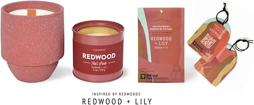 Vista 49 de Paddywax Candles - Vela perfumada de la colección Parks Juegos Olímpicos,Grandes Montañas Humeantes,Acadia,Secoyas,Glaciar,Yosemite,Gran