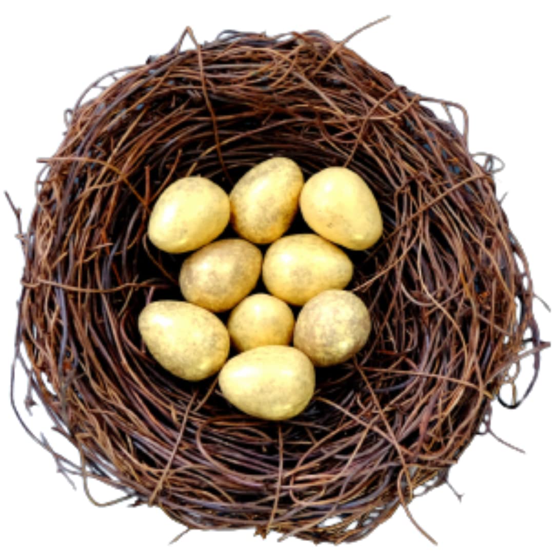 See full amazon price history chart for SmartPet Natural Coco Fiber Nesting Materials for Birds, Coconut Coir For Birds Nest, Laying Eggs Breeding as Natural Nest and Small Animals and Crafting, Sufficient for 6 Bird Nests (Export Quality) (300 Grams) SmartPet Natural Coco Fiber Nesting Materials for Birds, Coconut Coir For Birds Nest, Laying Eggs Breeding as Natural Nest and Small Animals and Crafting, Sufficient for 6 Bird Nests (Export Quality) (300 Grams) (B0BV3F27GX) Amazon Price History, Amazon Price Tracker