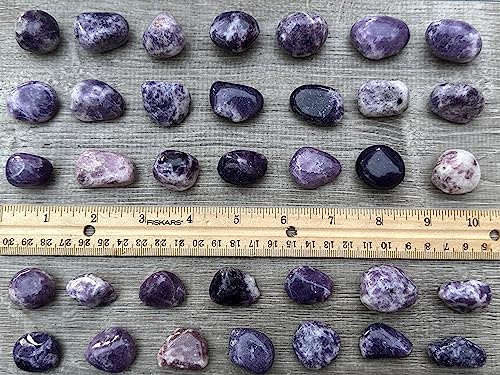 Image of GAF TREASURES 1 /2 LB Lepidolite Tumbled Stones, Polished Lepidolite Gemstone, Lepidolite Healing Crystals (Lepidolite)