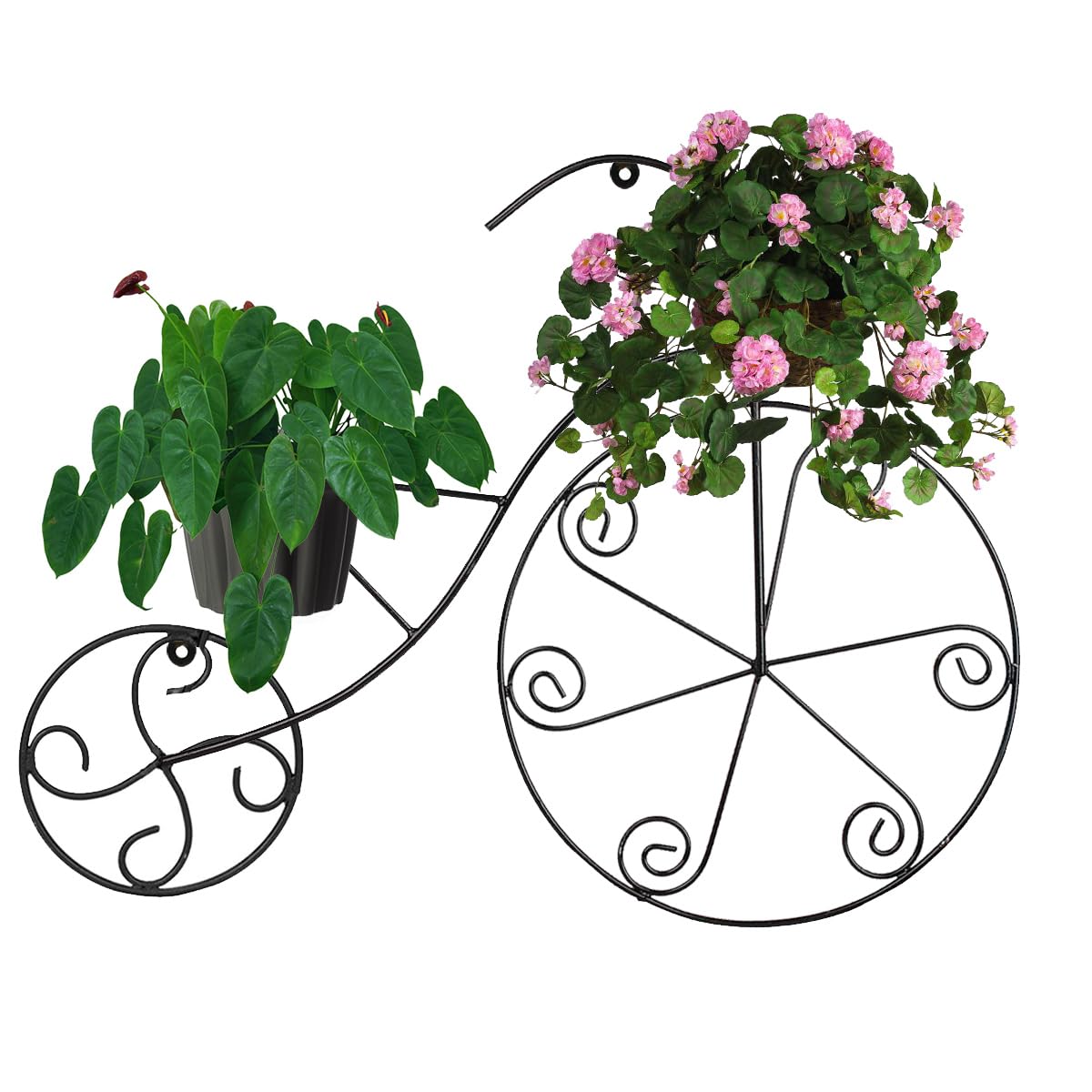 Wall Mounted Iron Plant Holder - Black -4