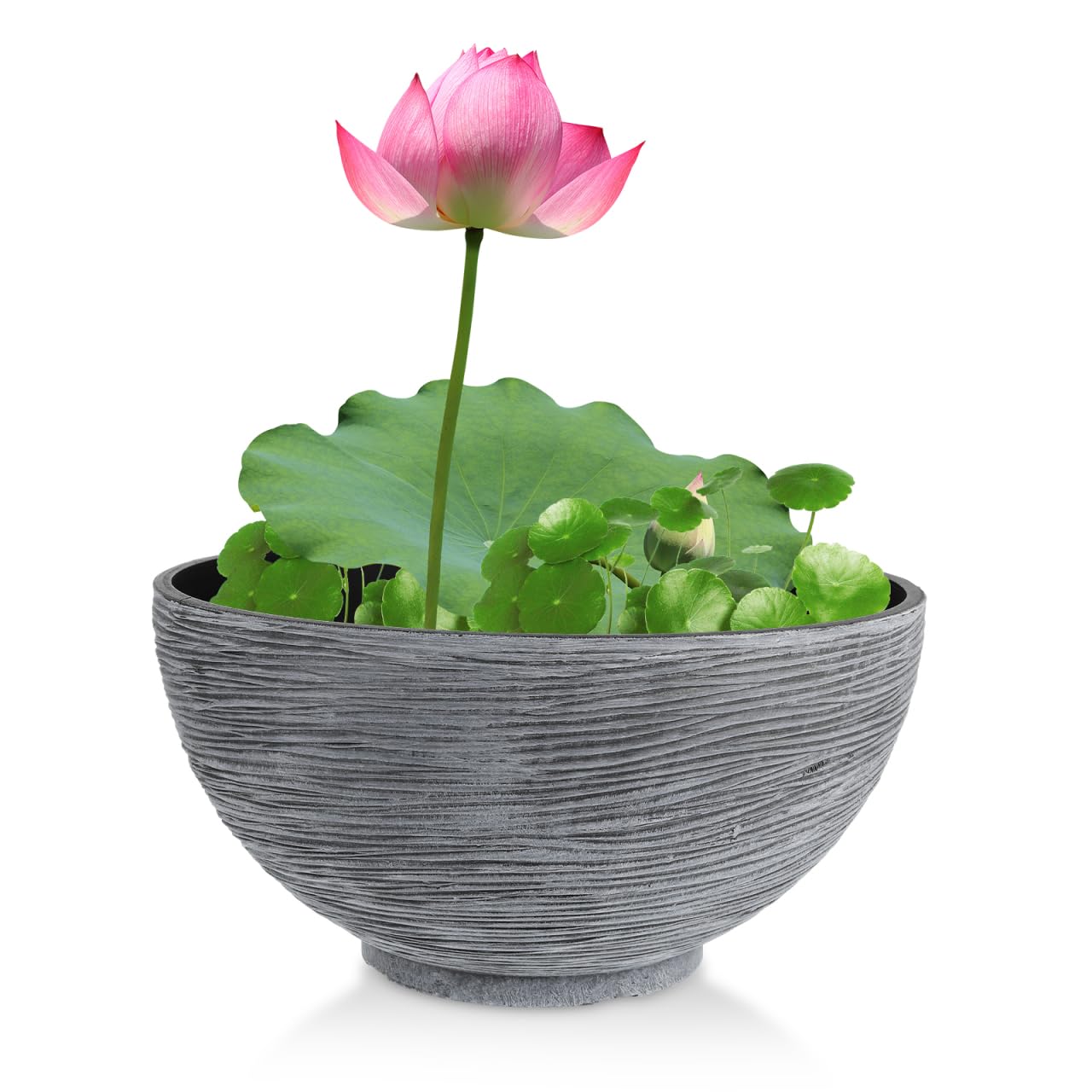 GANAZONO Hydroponic Flower Pot for Indoor Plants Faux Water Lily Planter Deep Design for Home Office and Garden Lightweight and Planter for Various Occasions