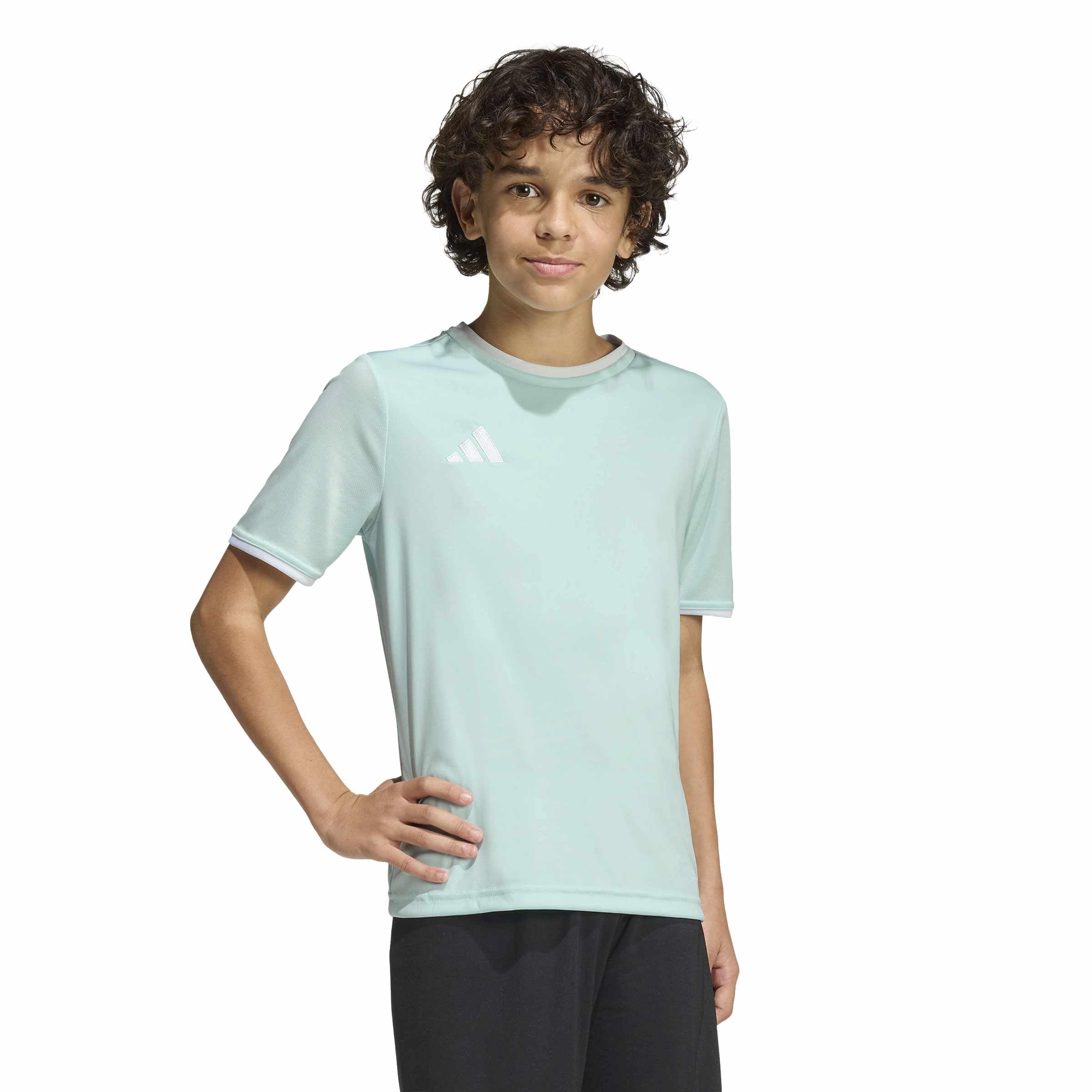 adidas Unisex Kids Entrada26 Jersey Kids Shirt, Halo Mint/White, 9-10 Years